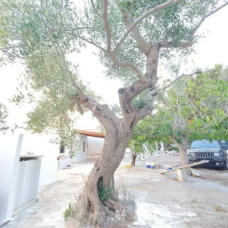 Alloggio Incantevole A500m Dal Mare Con Posto Auto * Sant Isidoro (Apulia)